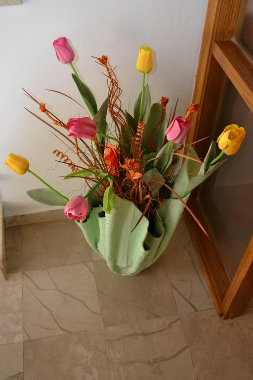 Apartment Topic Baška Voda エクステリア 写真